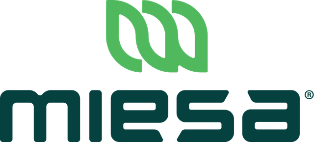 Miesa